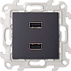Розетка 2xUSB 2.0 для передачи данных цвета графит S24 Harmonie, SIMON 2411090-038